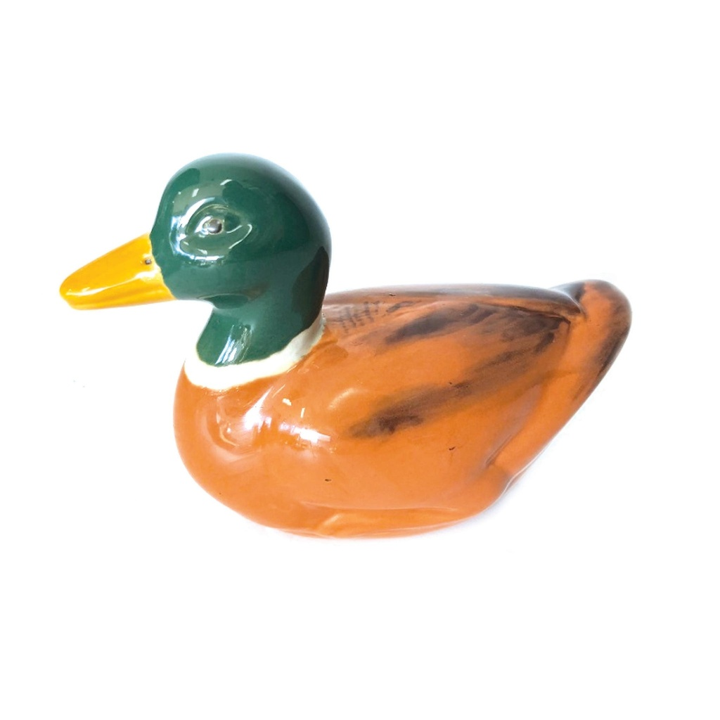 Floating Porcelain Duck