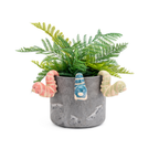 Caterpillar Pot Sitters Assorted Colours