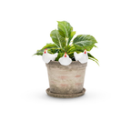 Chicken Pot Sitters - White Large