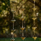 Rain Chain Lily Assorted Colours