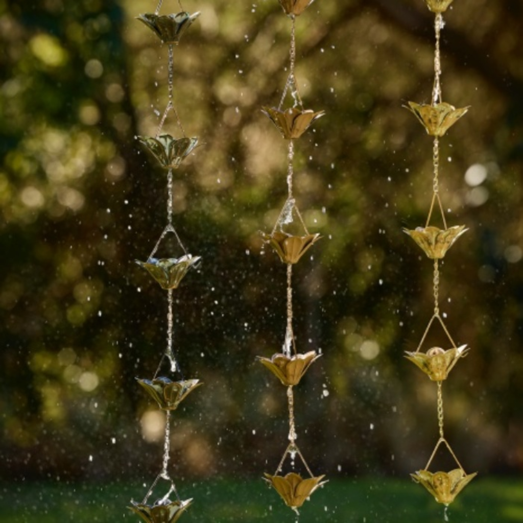 Rain Chain Lily Assorted Colours