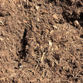 Mulch - EUCI per m3