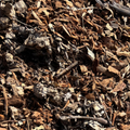 Mulch - LANDSCAPE per m3