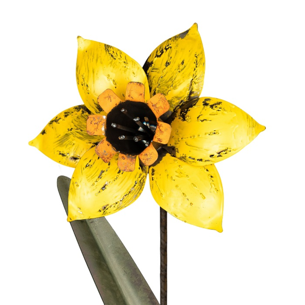 Daffodil Stake Yellow 