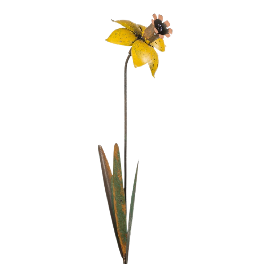 Daffodil Stake Yellow 