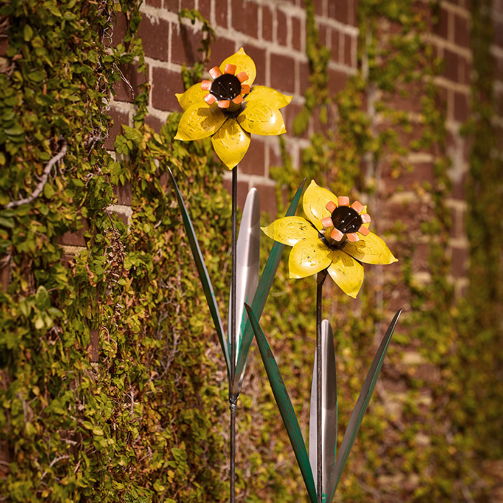Daffodil Stake Yellow 
