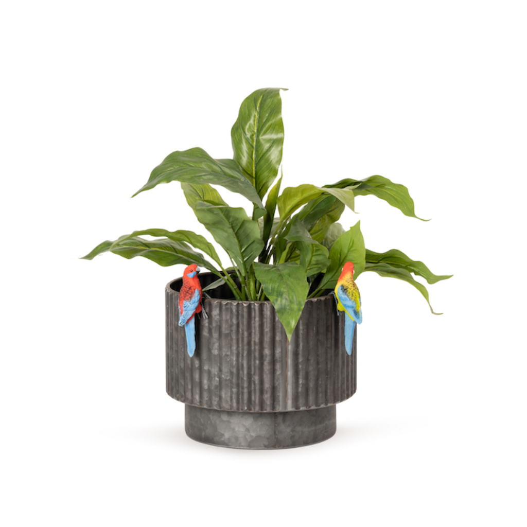 Pot Sitter Rosella