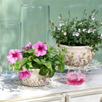 Pot Wildflower Shallow [Sz:Large]