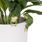 Green Frog Pot Sitter