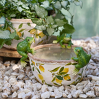 Green Frog Pot Sitter