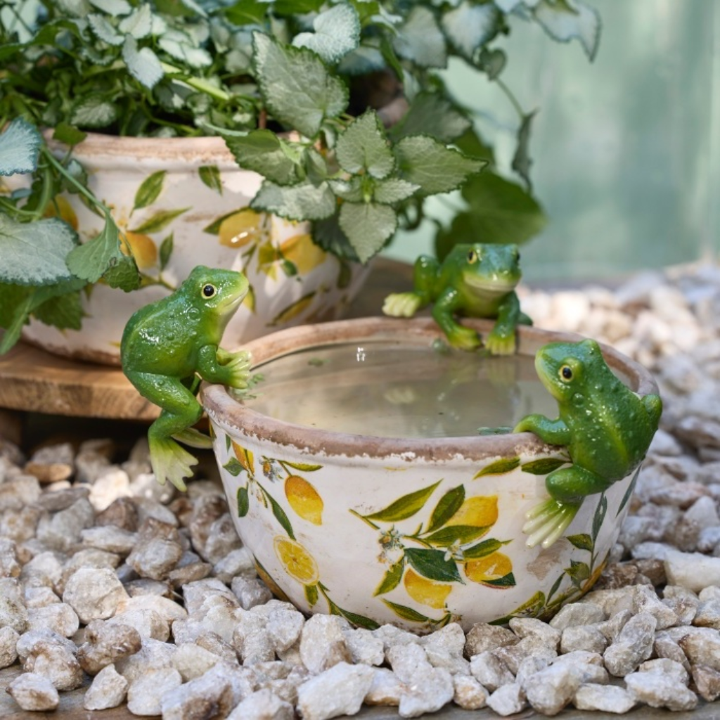 Green Frog Pot Sitter