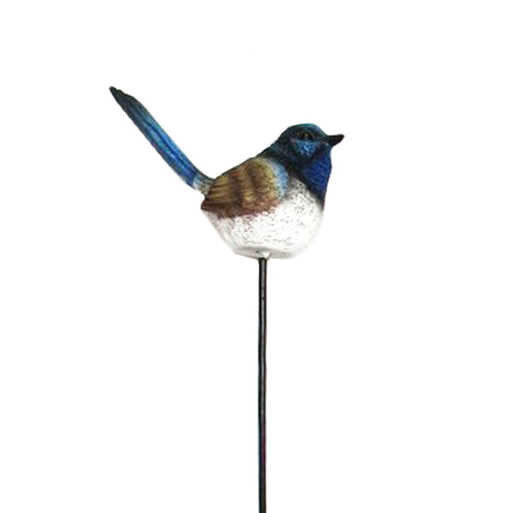 Blue Fairy Wren on Stick