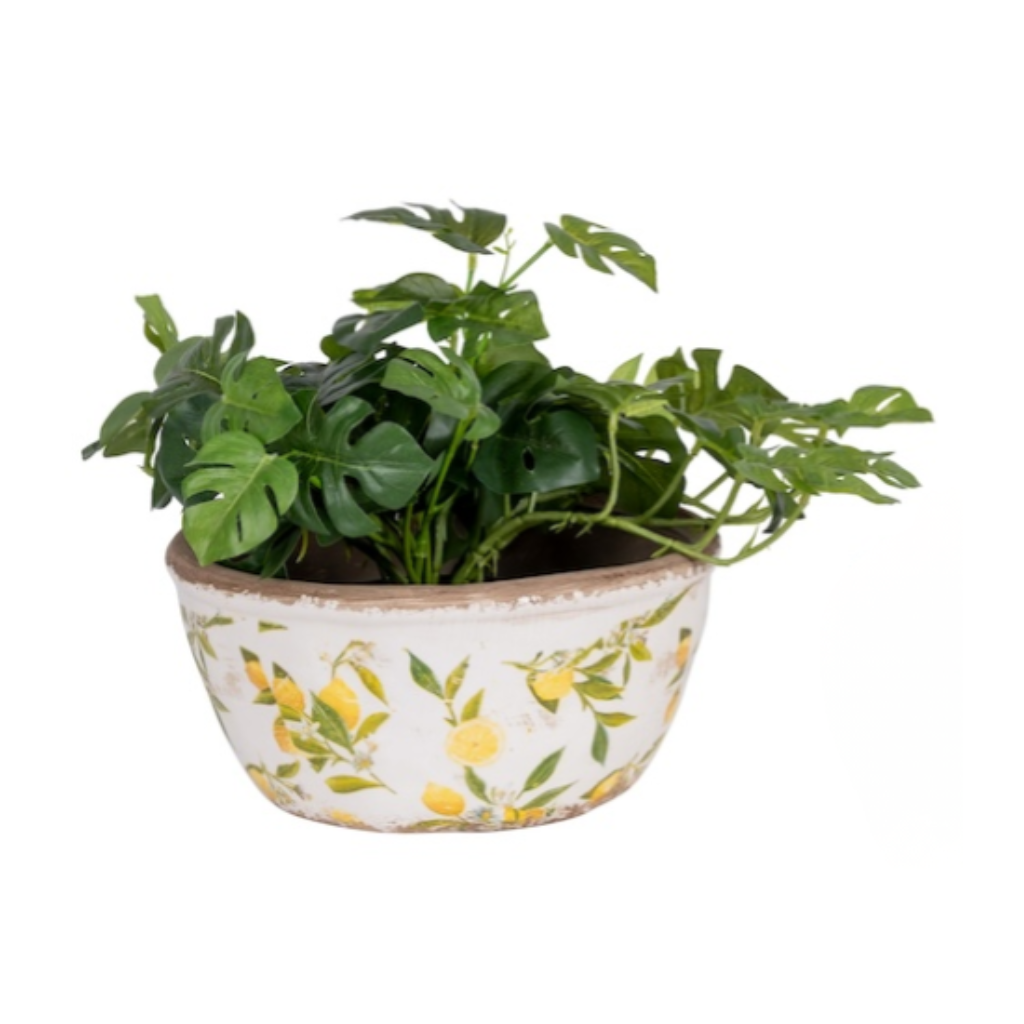 Lemon Shallow Pot [Sz:Large]