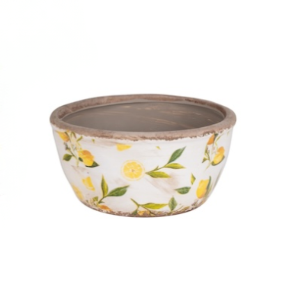 Lemon Shallow Pot [Sz:Small]