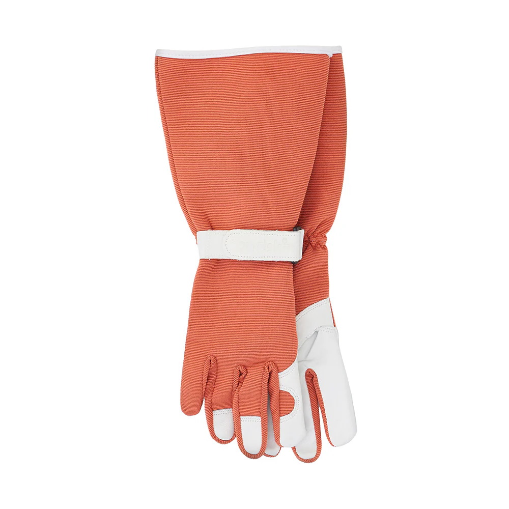 Gloves L/Slv Terracotta 