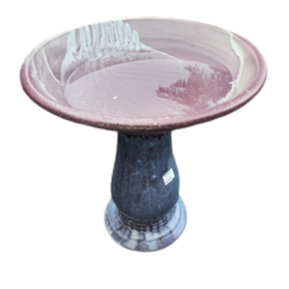 Purple Glazed Fairywren Bird Bath