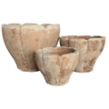 Terracotta Tulip Lge [Sz:Large]