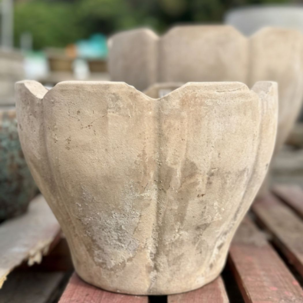 Terracotta Tulip Lge [Sz:Large]