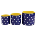 Planter- Polka Dot Navy/Yellow [Sz:Large]