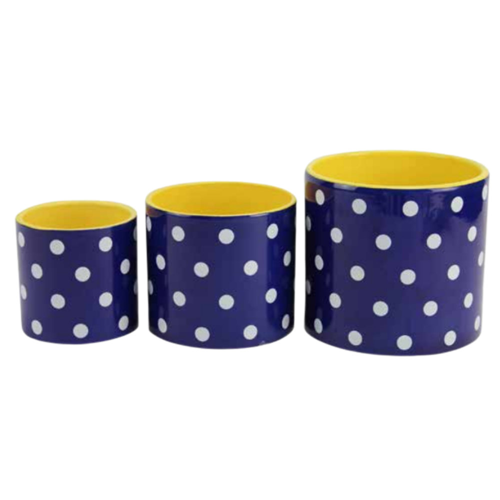 Planter- Polka Dot Navy/Yellow [Sz:Large]