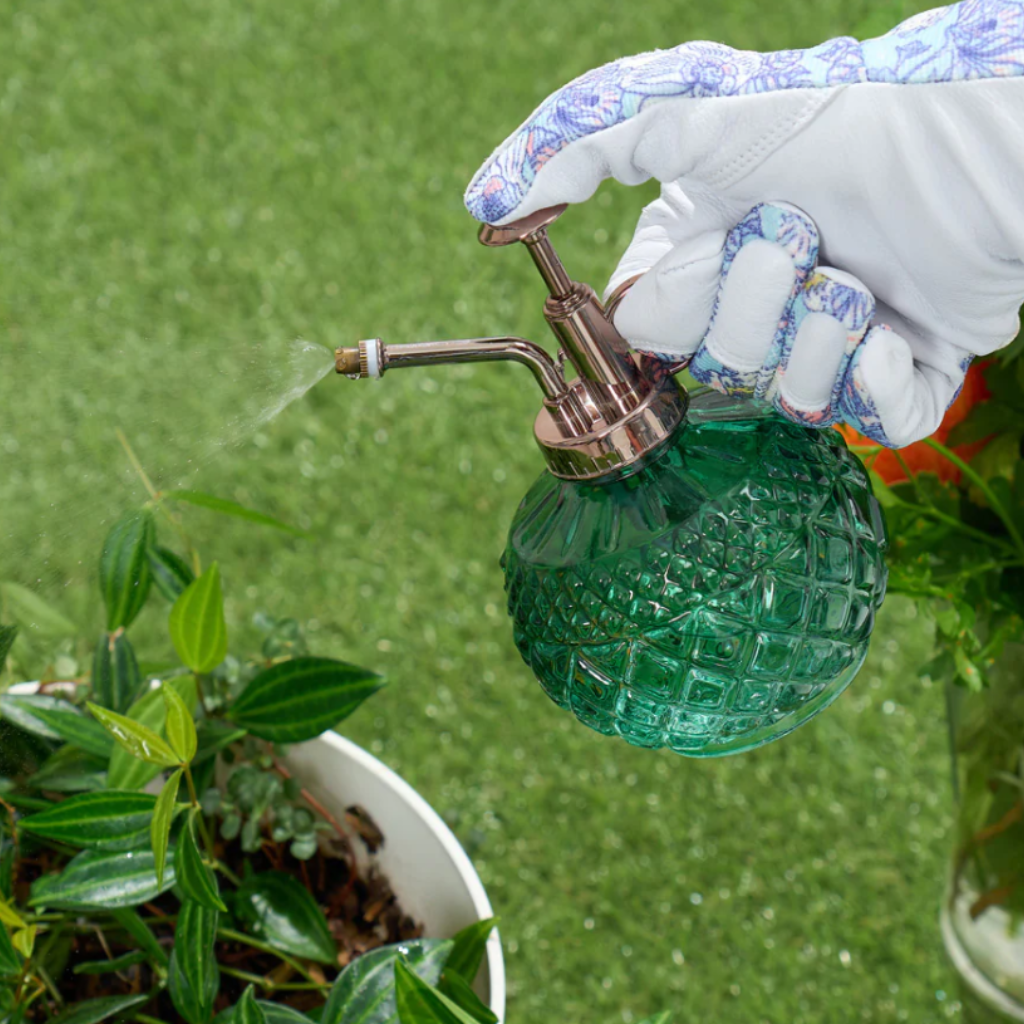 Plant Mister Diamond Green [Col:Green]