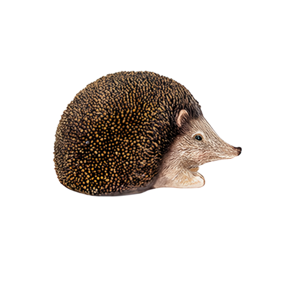 Echidna Resin Medium