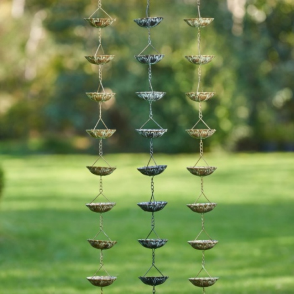 Rainchain Waterlily Assorted