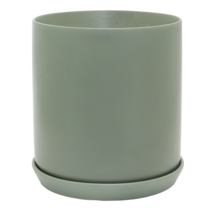 Medium Oslo Planter Eucalypt