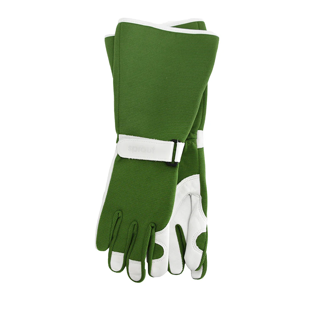 Gloves - Sprout Goatskin L/Sleeve Olive
