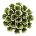 Ceramic Flower Succulent