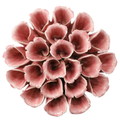 Ceramic Flower Coral