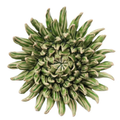 Ceramic Flower Chrysanthemum