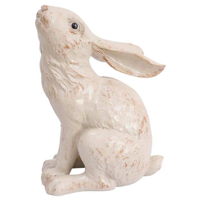 Rabbit Sitting